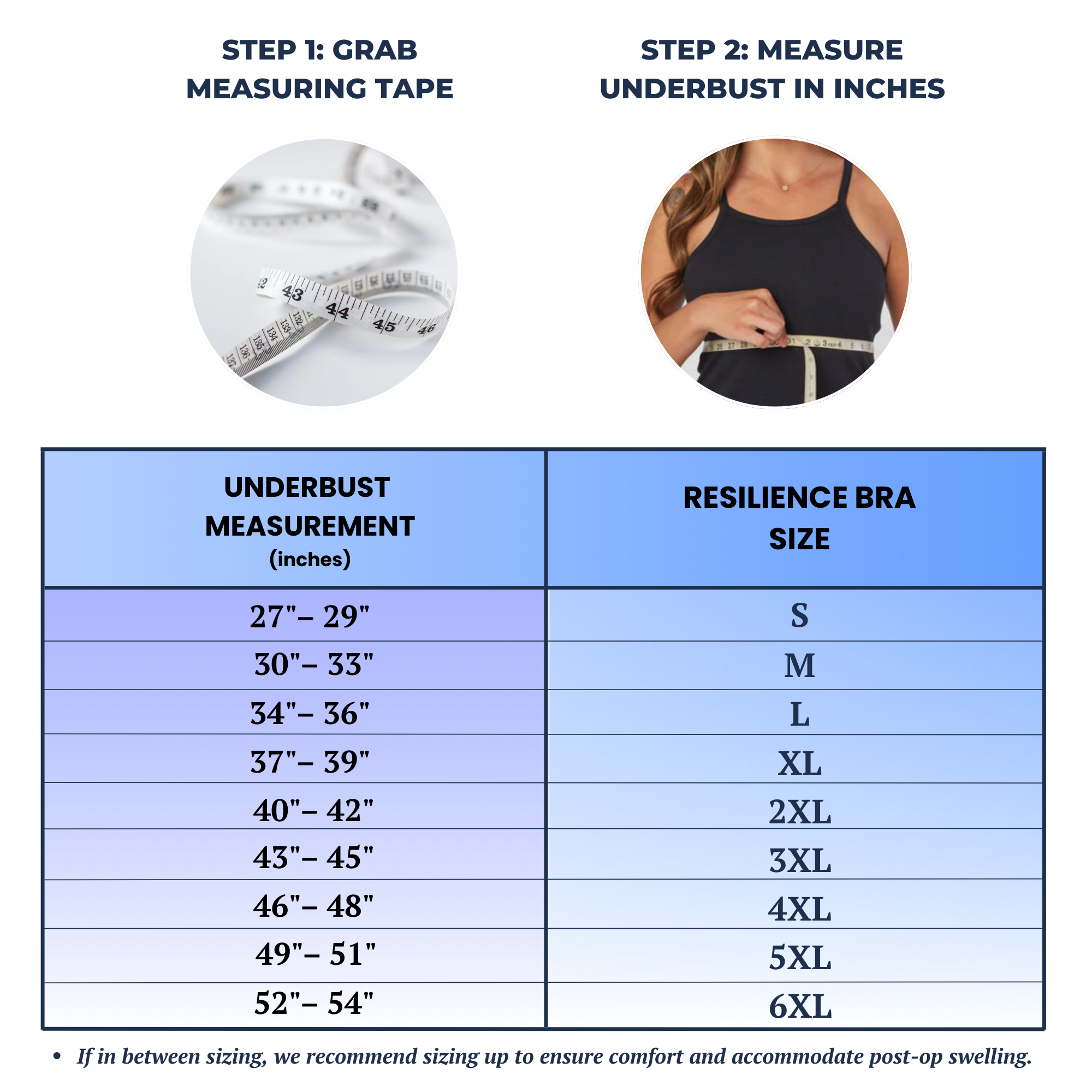 Dna Strand Rib Cage Have an account?